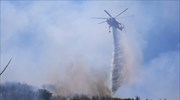 Βελτιωμένη η εικόνα των πυρκαγιών σε Στύρα Ευβοίας και Βαρνάβα