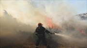 Υπό πλήρη έλεγχο η πυρκαγιά στον Βαθύλακκο Θεσσαλονίκης
