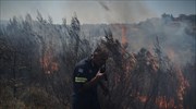 ΓΓΠΠ: Σήμα για πυρκαγιές και την Τετάρτη