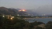 Χανιά: Μεγάλη φωτιά σε δύσβατη περιοχή στο Προδρόμι Σέλινου