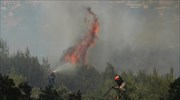 ΓΓΠΠ: Προειδοποίηση για κίνδυνο πυρκαγιών και την Παρασκευή