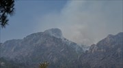 Σάμος: Μόνο καπνοί, όχι φλόγες νωρίς το μεσημέρι