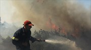 Πυρκαγιά σε δασική έκταση στον Αυλώνα Αττικής