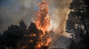 Σε 52 ανήλθαν οι δασικές πυρκαγιές που εκδηλώθηκαν το τελευταίο 24ωρο σε όλη την Ελλάδα