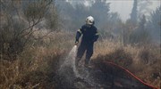 Υπό μερικό έλεγχο η πυρκαγιά στον Αυλώνα Αττικής