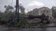 Καρδίτσα: Ζημιές από ισχυρούς ανέμους και χαλαζόπτωση στην περιοχή του Παλαμά