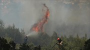 Πολύ αυξημένος ο κίνδυνος πυρκαγιάς και την Πέμπτη