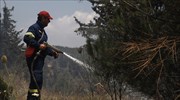 Πενήντα έξι δασικές πυρκαγιές εκδηλώθηκαν το τελευταίο 24ωρο