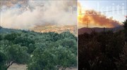Κρήτη: Μεγάλη φωτιά σε εξέλιξη στο Λασίθι
