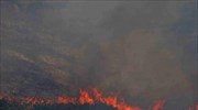 Σε εξέλιξη οι φωτιές στις περιοχές Νέα Αλμυρή Κορινθίας και Ασκληπιείο Αργολίδας
