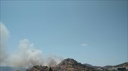 Σαλαμίνα: Σε ύφεση η πυρκαγιά κοντά σε κατοικημένη περιοχή στον Αγιο Νικόλαο