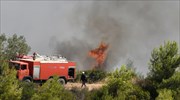 Ζάκυνθος: Υπό μερικό έλεγχο η  πυρκαγιά στις Νερατζούλες