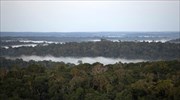Το δάσος του Αμαζονίου μολύνει πλέον την ατμόσφαιρα