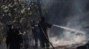 Πυροσβεστική: 45 δασικές πυρκαγιές εκδηλώθηκαν το τελευταίο 24ωρο