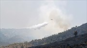 Kύπρος: Διαχειρίσιμα τα πύρινα μέτωπα που ξέσπασαν την Τετάρτη