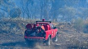 Πάτρα: Σε ύφεση η φωτιά στην περιοχή Δροσιά της Αχαΐας