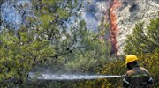 Πυροσβεστική: 48 δασικές πυρκαγιές εκδηλώθηκαν το τελευταίο 24ωρο
