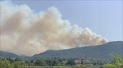 Βόνιτσα: Σε εξέλιξη η μάχη με την πυρκαγιά, δεν απειλούνται σπίτια