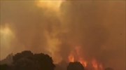 Ιταλία: Αποτέλεσμα εμπρησμών ένα μεγάλο μέρος των πυρκαγιών στη Σικελία