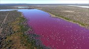 Έγινε ροζ λιμνοθάλασσα στην Αργεντινή