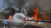 Τουρκία: Στους 8 οι νεκροί από τις μεγάλες δασικές πυρκαγιές