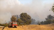 Ρόδος: Ολονύχτια μάχη με τις φλόγες