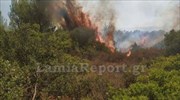 Πυρκαγιές σε Καλαμάτα, Σπερχειάδα και Στυλίδα