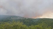 Φθιώτιδα: Μάχη με τις φλόγες στο χωριό Λογγίτση της Στυλίδας