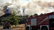 Φθιώτιδα: Μάχη με τις αναζωπυρώσεις δίνουν οι πυροσβέστες στο Λογγίτσι της Στυλίδας