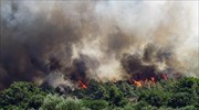 Βασιλίτσι Μεσσηνίας: Εναέριες και ισχυρές επίγειες δυνάμεις στη μάχη με τις φλόγες