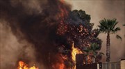 Βαρυμπόμπη: Απομακρύνονται τα άλογα από ιππικούς ομίλους
