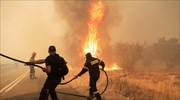 Ένωση Πνευμονολόγων: Τι πρέπει να γνωρίζουν όσοι είναι κοντά σε φωτιές