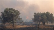 Ρόδος: Απαγόρευση κυκλοφορίας Την Τετάρτη στις δασικές περιοχές από τις 2 το μεσημέρι