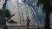 Καλύτερη εικόνα παρουσιάζουν οι πυρκαγιές σε Βασιλίτσι, Βλαχόπουλο και Καστάνια