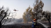 Εύβοια: Στα καθήκοντά του επέστρεψαν οι 3 πυροσβέστες που τραυματίστηκαν στου Κουρκουλούς