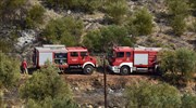 Πυρκαγιά σε χορτολιβαδική έκταση στο Κιλκίς