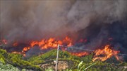 Ηλεία: Νέα φωτιά στην περιοχή Μιράκα του δήμου Αρχαίας Ολυμπίας