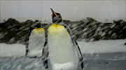 H κλιματική αλλαγή απειλεί και τους αυτοκρατορικούς πιγκουίνους