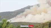Μεσσηνία: Πυρκαγιά στην περιοχή Κάτω Μέλπεια του δήμου Οιχαλίας