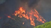 Δύο χιλιόμετρα από την Αρχαία Ολυμπία η φωτιά, λέει ο αντιδήμαρχος
