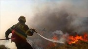 Φθιώτιδα: Φωτιά μικρής έκτασης στο Μαρτίνο