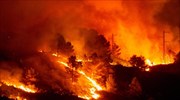 Βουλγαρία: Δύο νεκροί και σημαντικές καταστροφές σε δασικές πυρκαγιές