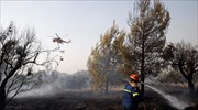 Εθνικό Αστεροσκοπείο: Πάνω από 60.000 στρέμματα κάηκαν το πρώτο τετραήμερο του Αυγούστου