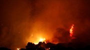 Τουρκία: Καίγεται ο θερμοηλεκτρικός σταθμός του Μίλας, σύμφωνα με τον δήμαρχο