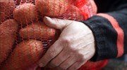 Παραπέμπεται εταιρεία που διακινούσε ποσότητες πατάτας με ψεύτικη ένδειξη