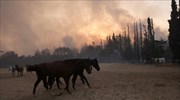 Εισαγγελική έρευνα για την πυρκαγιά στη Βαρυμπόμπη