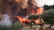 Ηλεία - Φωτιά: Μήνυμα του 112 για εκκένωση 12 οικισμών