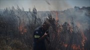 Πυρκαγιές: Ενεργή η υπηρεσία EMS της ΕΕ για την χαρτογράφηση περιοχών της Αρχαίας Ολυμπίας