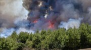 Μηνύματα του 112 για εκκένωση της Ελαίας Φωκίδας λόγω δασικής πυρκαγιάς