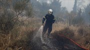 Υπό έλεγχο η φωτιά στην περιοχή Καλαμώνας της Ρόδου